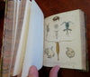 British Crustaceans Crab Shrimp Lobster 1857 White 20 hand color plates book