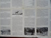 Rocky Mountain National Park Colorado Trails Museums 1950 tourist souvenir map