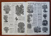 L.L. Old's Bulb Catalog Gardening Flowers 1937 pictorial seed mail order catalog