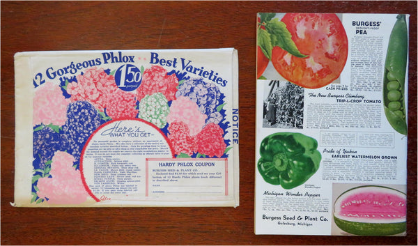 burgess seed & plant co. seed catalog Burgess Seed & Plant Co. Gardening Flowers 1939 mail order catalog w/ – Brian DiMambro