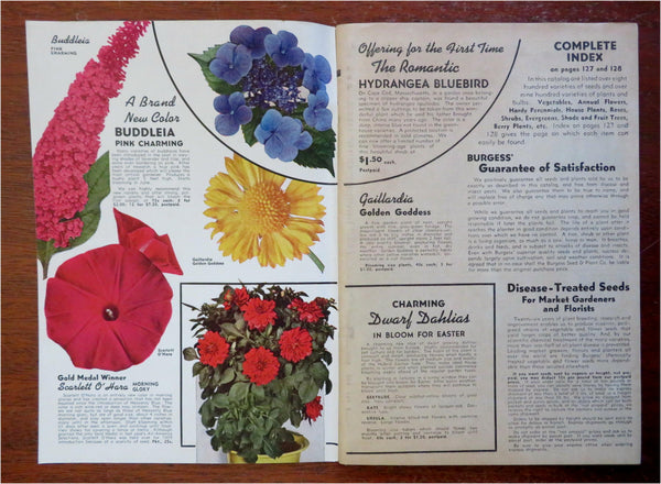 Burgess Seed & Plant Co. Gardening Flowers 1939 mail order catalog w/ –  Brian DiMambro