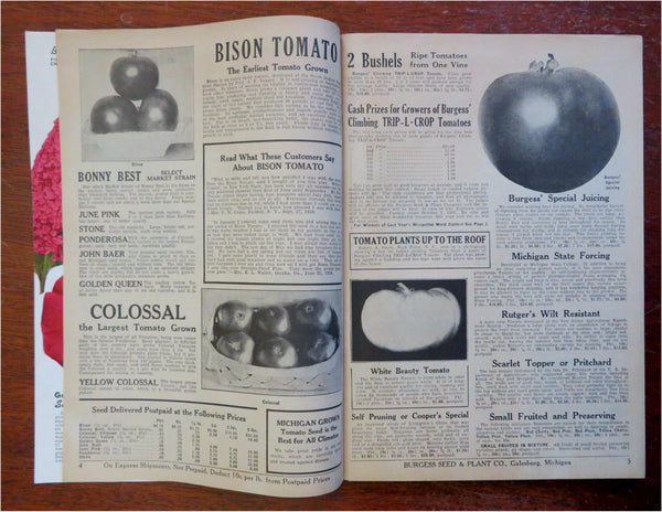 Burgess Seed & Plant Co. Gardening Flowers 1939 mail order catalog w/ –  Brian DiMambro