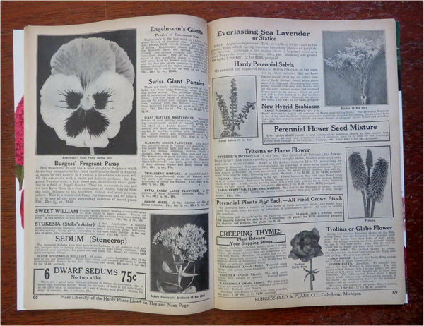 Burgess Seed & Plant Co. Gardening Flowers 1939 mail order catalog w/ –  Brian DiMambro