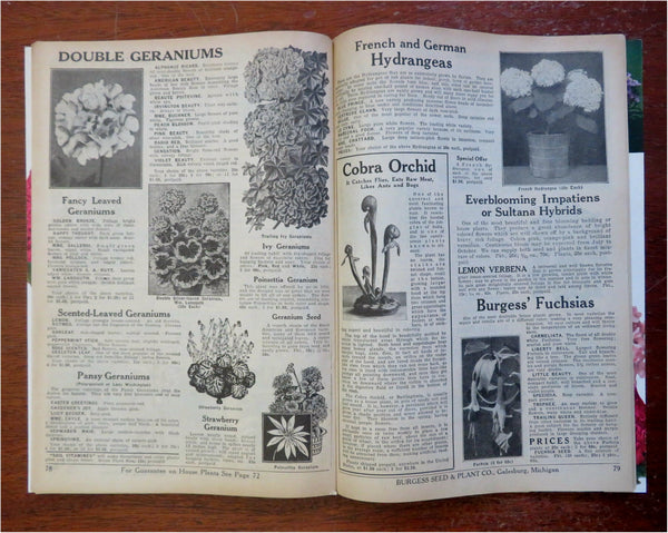 burgess seed & plant co Burgess Seed & Plant Co. Gardening Flowers 1939 mail order catalog w/ – Brian DiMambro