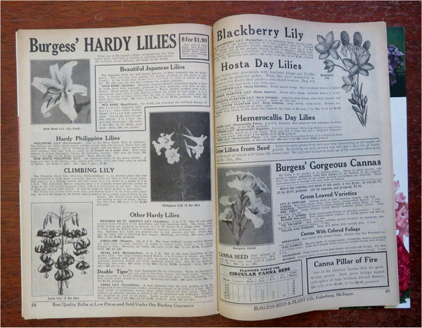 Burgess Seed & Plant Co. Gardening Flowers 1939 mail order catalog w/ –  Brian DiMambro