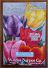 Burpee's Bulbs Seed Catalog Tulips Gardening 1926 mail order catalog