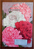 Burpee's Bulbs Seed Catalog Tulips Gardening 1926 mail order catalog