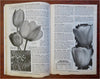 Burpee's Bulbs Seed Catalog Tulips Gardening 1926 mail order catalog