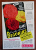 New England Spring Flower Show Gardening Expo 1949 pictorial souvenir program