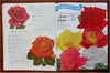Breck's of Boston Garden Book Seeds Flowers Vegetables 1950 mail order catalog