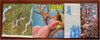 Lugano Switzerland Swiss Riviera c.1950's large nice bird's eye view North Italy