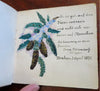 Autograph Album Ellen Richter (?) c. 1930's original sketches artwork souvenir