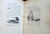 Life of Lazarille de Tormes Picaresque Novel 1886 illustrated leather book