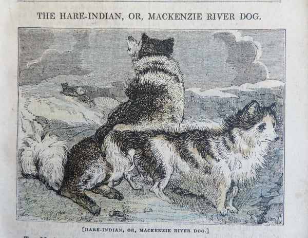 Mackenzie River Dog Hare-Indian 1837 Tales of Travelers Exploration pamphlet