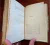 Etincelle L'Irrestisible French Literature 1893 lovely scarce leather book