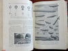 La Nature French Scientific Review Arts 1901 Illustrated rare 2 vol. leather set