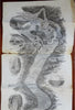 Niagara Falls to Quebec Canada Guide 1869 Chisolm book w/11 foot long river map!