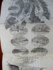 Niagara Falls to Quebec Canada Guide 1869 Chisolm book w/11 foot long river map!