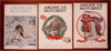 American Motorist AAA 1926 Travel Magazine Americana April November Dec. Lot x 3