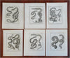 Ophidians Snake Zoological Prints c. 1770 Lot x 6 Didot Hulk engraved prints