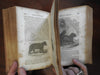 History of California 1853 Gold Rush 16 engraved plates Spanish Conquest