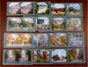 American West Alaska Cuba Egypt c.1900-10 large lot 3-D stereoviews x 70
