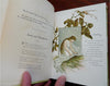 White Ribbon Birthday Book Women Authors 1887 illustrated calendar
