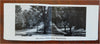 Treadway Inns Mass. & NY Lot x 3 Advertising Booklets c. 1930's w/ map views