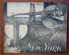 New York City Manhattan Souvenir Album 1907 tourist book street scenes & views