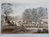 American Indians Nez Perces Gros Ventres Fort Okinakane 1860 Lot x 6 prints