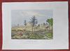 Beijing Peking China Qing Empire City View c. 1830 engraved hand colored print