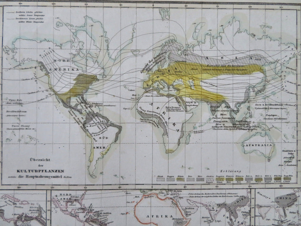 World Agriculture Plants Cocoa Sugar Vanilla Coffee Tea Pepper c. 1850 nice map