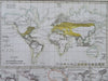 World Agriculture Plants Cocoa Sugar Vanilla Coffee Tea Pepper c. 1850 nice map