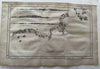 Australia Van Diemen Land coastline 1785 Capt. Cook Roberts & Benard early map