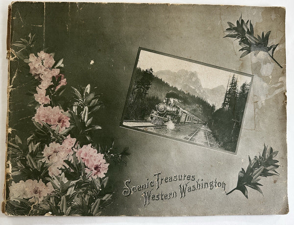 Washington State scenic views Western region 1909 Seattle rare large view book