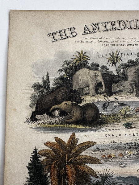 Antediluvian World Tertiary Oolite system 1849 Reynolds hand colored rare print