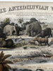 Antediluvian World Tertiary Oolite system 1849 Reynolds hand colored rare print