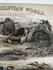 Antediluvian World Tertiary Oolite system 1849 Reynolds hand colored rare print