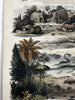 Antediluvian World Tertiary Oolite system 1849 Reynolds hand colored rare print