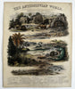 Antediluvian World Tertiary Oolite system 1849 Reynolds hand colored rare print