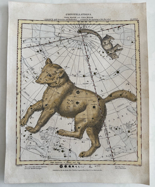 Celestial star constellations Ursa Major & minor 1808 hand color engraved print