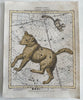 Celestial star constellations Ursa Major & minor 1808 hand color engraved print