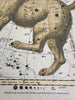 Celestial star constellations Ursa Major & minor 1808 hand color engraved print