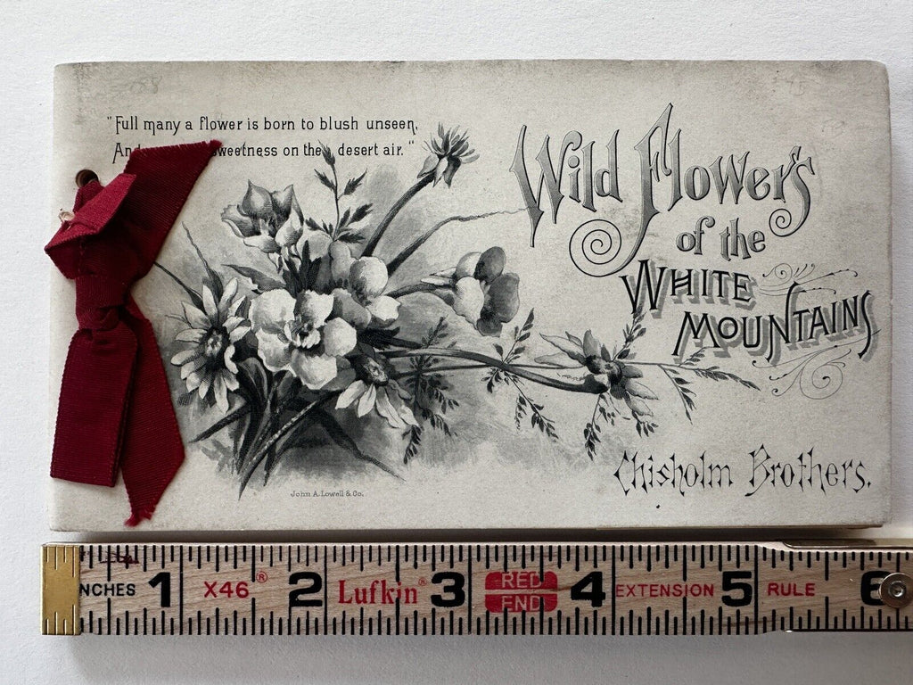 Mt. Washington NH wild flowers booklet c.1900 rare with actual dried flowers