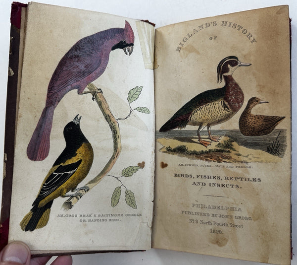 Natural History 1828 Phila Birds Fish Reptiles Insects 12 color plates rare book