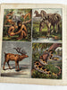 Visit to Menagerie Zoo animals  1860’s McLoughlin color chromo juvenile book