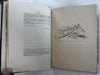 Chronicle of King João 1915 Fernão Lopes Historical Portugual leather rare book