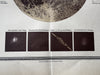 Moon chart w/dated features craters 1892 Sohr-Berghaus detailed color print