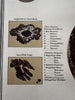 Moon chart w/dated features craters 1892 Sohr-Berghaus detailed color print