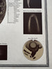 Moon chart w/dated features craters 1892 Sohr-Berghaus detailed color print